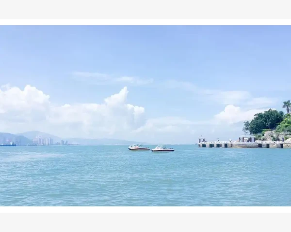探讨一贯煎对脾胃疾病的治疗效果